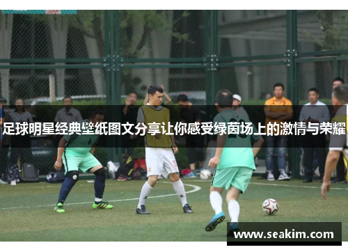 足球明星经典壁纸图文分享让你感受绿茵场上的激情与荣耀
