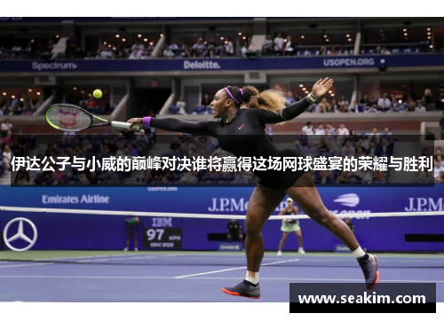 伊达公子与小威的巅峰对决谁将赢得这场网球盛宴的荣耀与胜利
